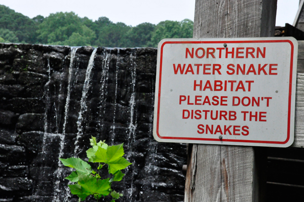 water snake warning sign